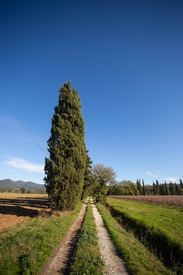 Podere Ricciolino Villa Castagneto Carducci Exteriör bild